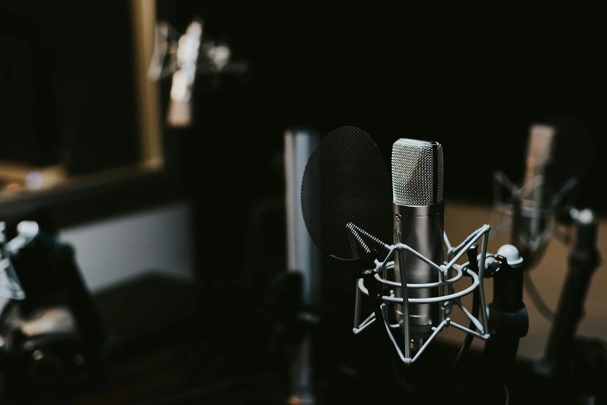 macro photograph of a studio condenser microphone